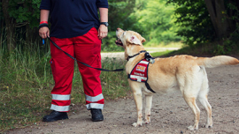 Symbolbild für Facheinheiten